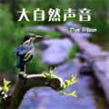 流水声助眠5D大自然白噪