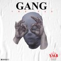 Ymb Rab - GANG (Explicit)