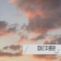 王月琴 - 空悲欢