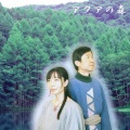 アクアの森