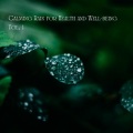 Calming Rain for Health and Well-being Vol. 1