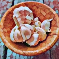 Sirup Replicated - Mays