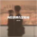 辞九学长 - 朋友不多