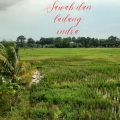 Sawah Dan Ladang