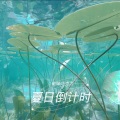 田味巧克力 - 夏日倒计时