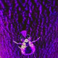 X & Exes (Explicit)