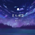 星光捕获