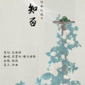 苏墨白 - 知否知否