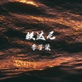 李梓柒 - 铁达尼 (纯音乐)