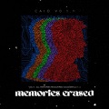 Memories Erased, Vol. 5: All Memories Recovered Successfully :-) (Explicit)