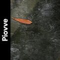 Suoni Naturali - Tempo di pioggia