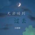 孙靓靓 - 若把你比作歌