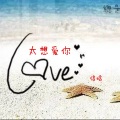 太想爱你（热歌钢琴版）