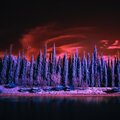 Clovers - Lagoon
