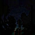 CREEPY.VIDEO.0 - Forest Path