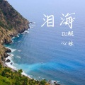 泪海 (DJ彭锐版)