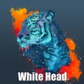 Big Busta - White Head