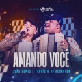 Amando Você (Ao Vivo)