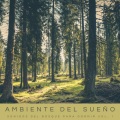 Relajación Piano、Musica Para Dormir、Música de relajación profunda - Libertad y Tranquilidad