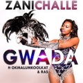 Gwada (feat. Okmalumkoolkat)(Explicit)