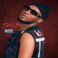 Skidi Boy - Wise
