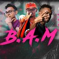 DJ ANI、Karlito、Playbwoy - B.A.M (feat. Karlito & Playbwoy)