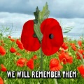 We Will Remember Them