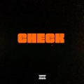 Check (feat. Sam Wills Christian Kuria & Laleh)(Explicit)