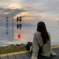 赵梓婷 - 爱即回响