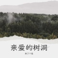 亲爱的树洞