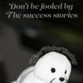 Don't Be Fooled By the Success Stories (Explicit)