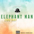 Elephant Man - Like Dat