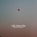 Harrison Music - Life Goes On (Slowed x Reverb)