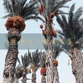 Holidays