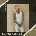 El Pinche Mara - Es Pasajero