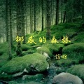 信晗 - 挪威的森林