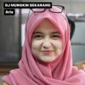 ARIS - Dj Nanti