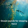 Ocean Sounds Plus、Sounds Of The Ocean、ASMR Ocean Sounds - Ocean sounds for sleeping, Pt. 123