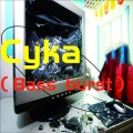 Cyka (Bass burst)