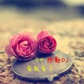 信晗 - 爱就爱了
