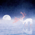 亮亮 - 堕