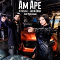 Am Ape (Explicit)