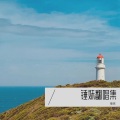锤某人 - 保护色