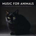 Music For Animals: A Soothing Ocean Atmosphere For Your Dogs & Cats