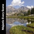The Nature Soundscapes - Stadium
