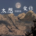 铁锤妹妹 - 太想爱你