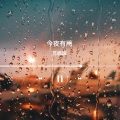 苏枫琛 - 今夜有雨 (清新BGM)