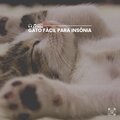 Gato Fácil para Insônia