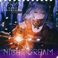 NIGHT DREAM (Explicit)