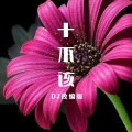 感情不能随便谈 (山歌DJ版)